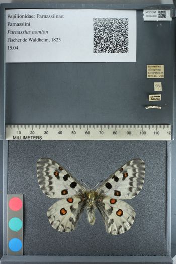 Media type: image;   Entomology 174960
